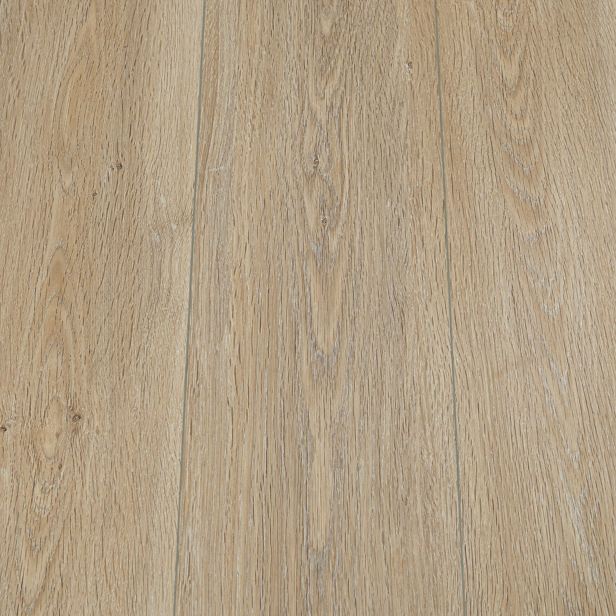 LPSPC-4-5-KEN-F_altpic_8.jpg
