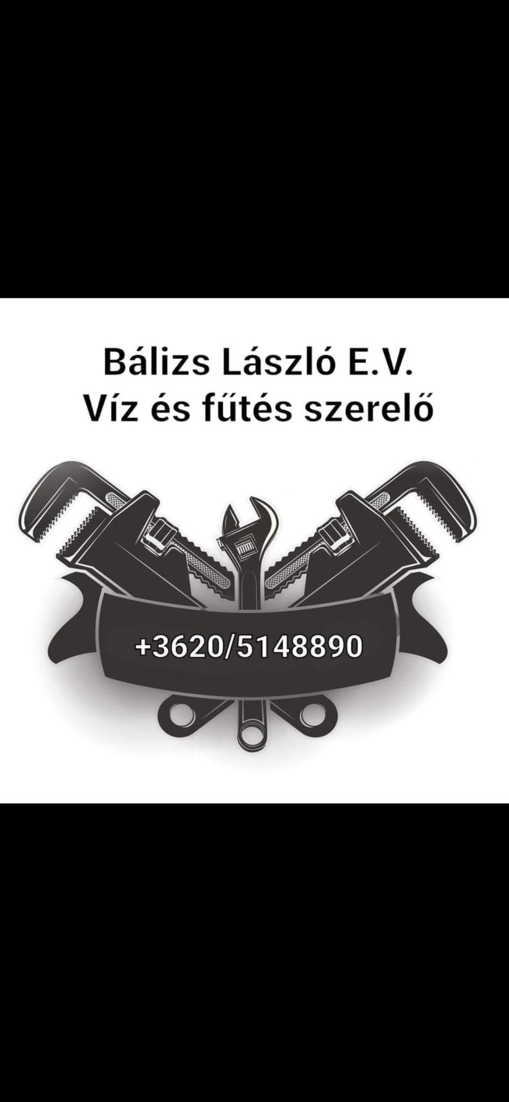 balizs-laszlo - balizs-laszlo.jpg
