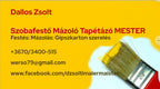 dallos-zsolt - dallos-zsolt.jpg