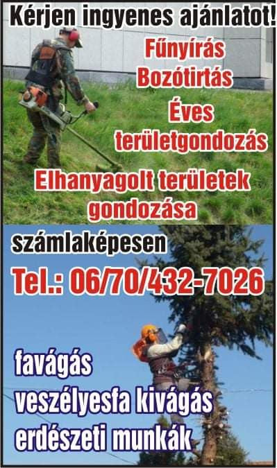 nemeth-szabolcs - nemeth-szabolcs.jpg Fő kép