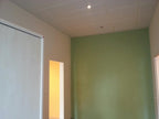 pahi-ev - pahi-ev_altpic_4.jpg