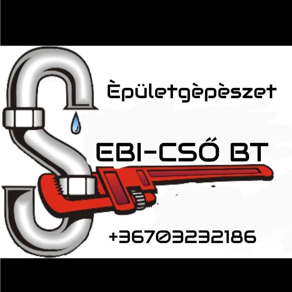 sebestyen-zoltan - sebestyen-zoltan.jpg
