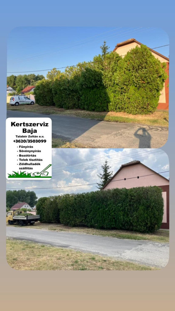 talaber-zoltan - talaber-zoltan_altpic_5.jpg